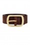 Women | Lovers + Friends Euclid Belt Tan & Gold