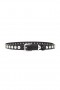 Women | Lovers + Friends Mina Leather Belt Black & Silver